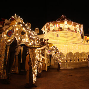 Kandy Esala Perahera VIP Ticket